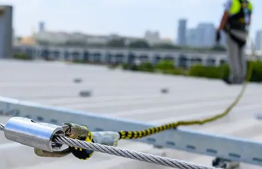 FLS-lifleine-closeup